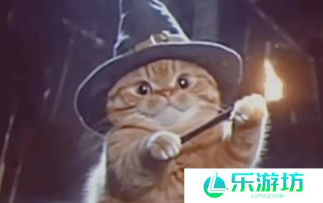 网络用语魔法猫猫是什么梗