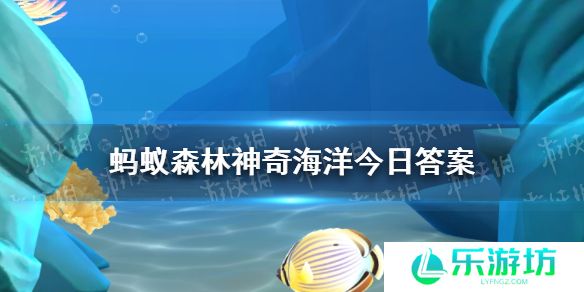 巨螯蟹属现存唯一的品种是什么 神奇海洋2月19日答案最新